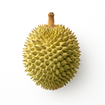 Durian, raw or frozen