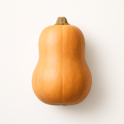 Squash, winter, acorn, raw