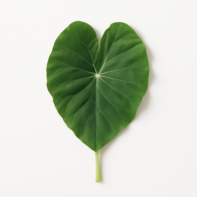 Taro leaves, raw