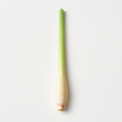 Lemon grass (citronella), raw