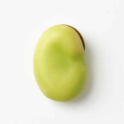 Beans, fava, in pod, raw