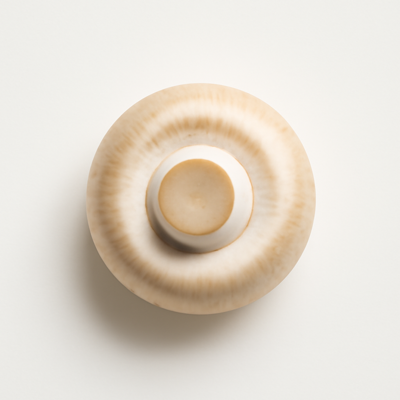 Mushrooms, straw, canned, drained solids