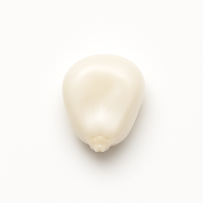 Corn grain, white