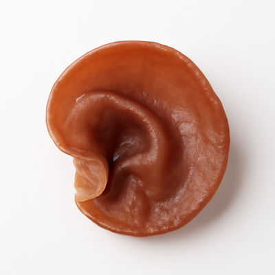 Jew’s ear, (pepeao), raw