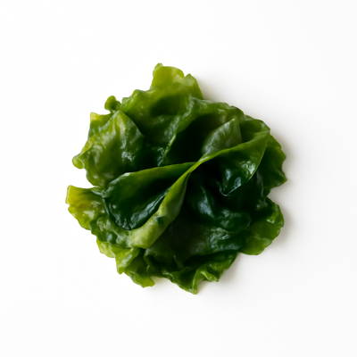 Seaweed, agar, raw