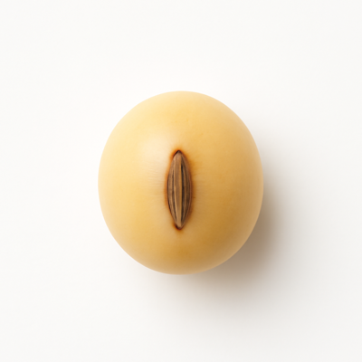 Soybeans, mature seeds, sprouted, raw