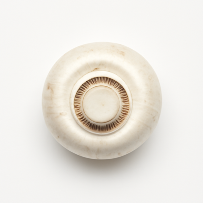 Mushroom, white, exposed to ultraviolet light, raw