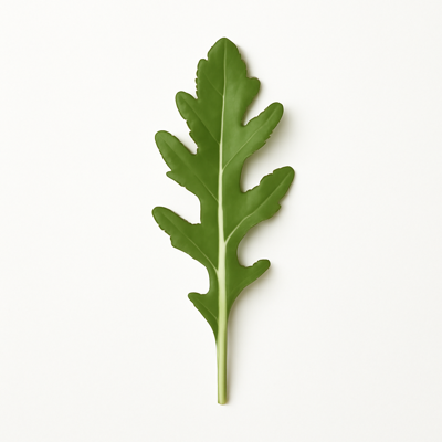 Arugula, raw