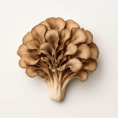 Mushrooms, maitake, raw