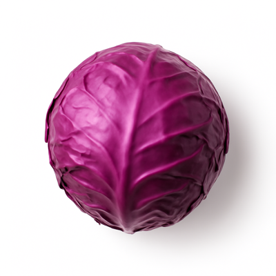 Cabbage, red, raw