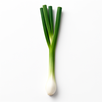 Onions, spring or scallions (includes tops and bulb), raw