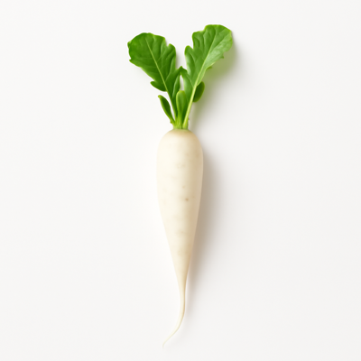Radishes, white icicle, raw