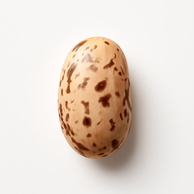 Beans, pinto, mature seeds, sprouted, raw