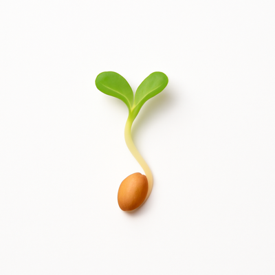 Radish seeds, sprouted, raw