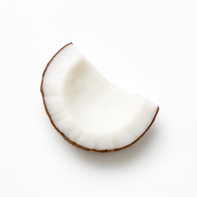 Nuts, coconut meat, raw