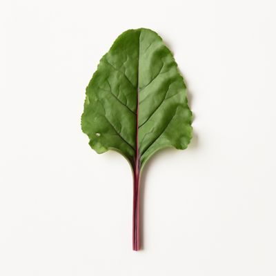 Beet greens, raw