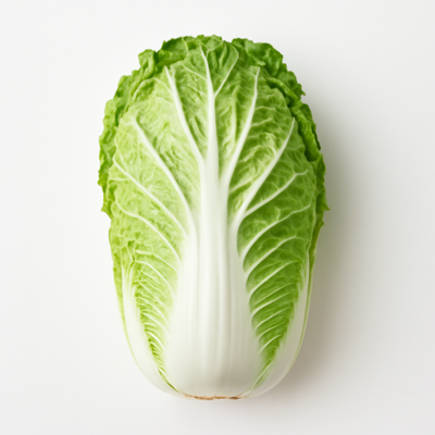 Cabbage, chinese (pak-choi), raw