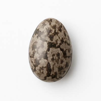 Seeds, chia seeds, dried