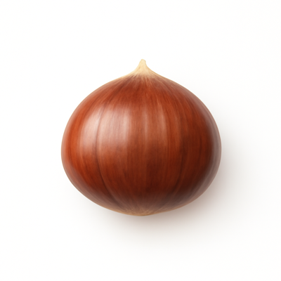 Nuts, chestnuts, european, raw, peeled