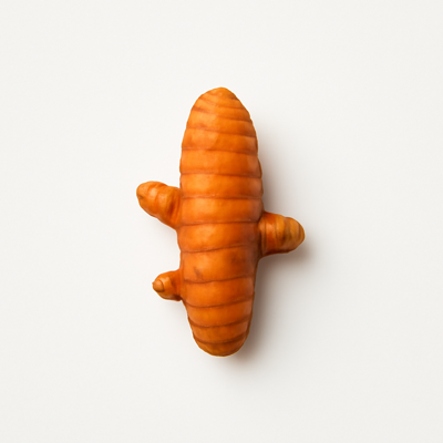 Spices, turmeric, ground