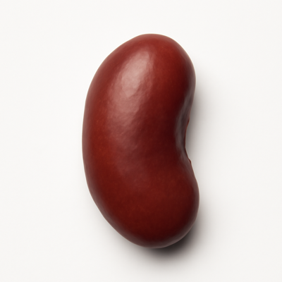 Beans, kidney, red, mature seeds, raw