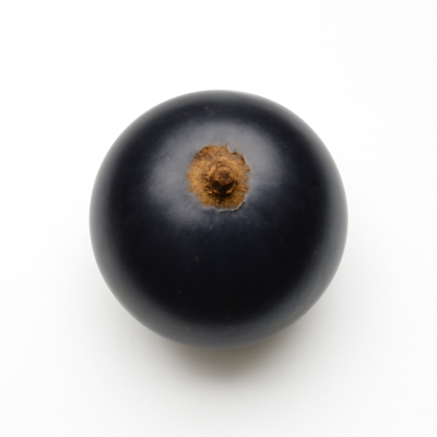 Currants, european black, raw