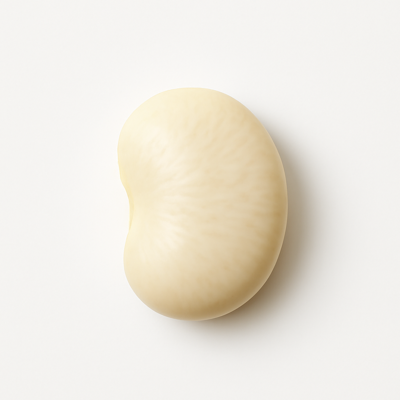 Lima beans, large, mature seeds, raw