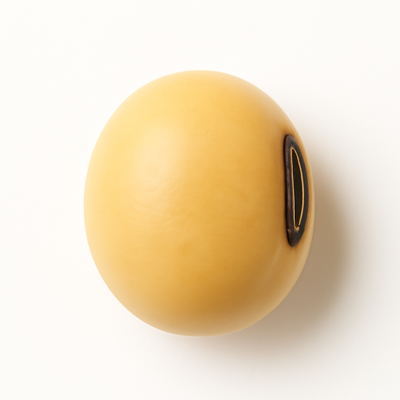 Soybeans, mature seeds, raw