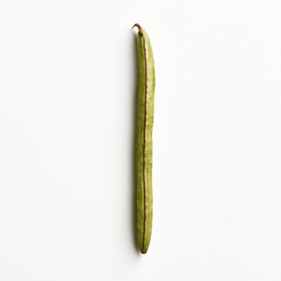 Yardlong beans, mature seeds, raw