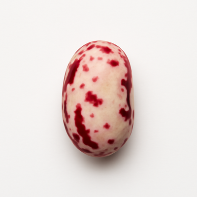 Beans, cranberry (roman), mature seeds, raw