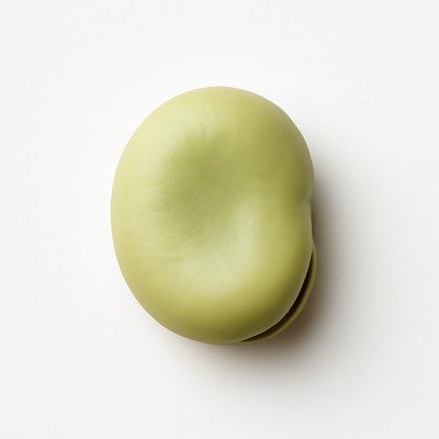 Broadbeans (fava beans), mature seeds, raw