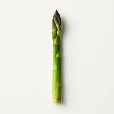 Illustration of asparagus, raw