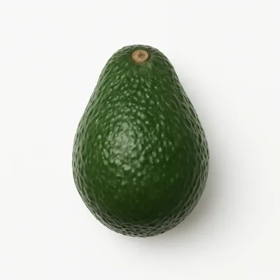 Illustration of avocados, raw, Florida