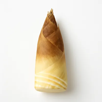 Illustration of bamboo shoots, raw