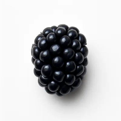 Illustration of blackberries, raw