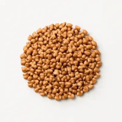 Illustration of roasted buckwheat groats