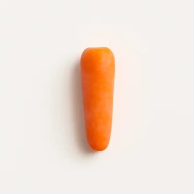 Illustration of carrots, baby, raw
