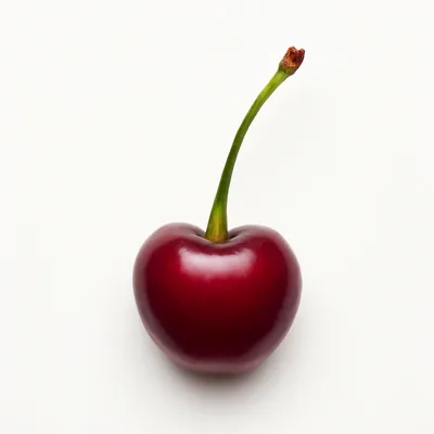 Illustration of cherries, sour, red, raw