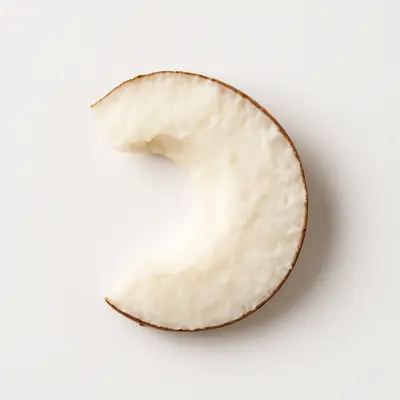 Illustration of fresh coconut