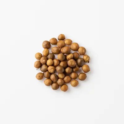 Illustration of coriander seeds
