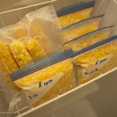 Illustration of frozen corn kernels