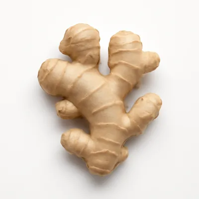 Illustration of ginger root, raw