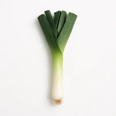 Illustration of leeks, (bulb and lower leaf-portion), raw