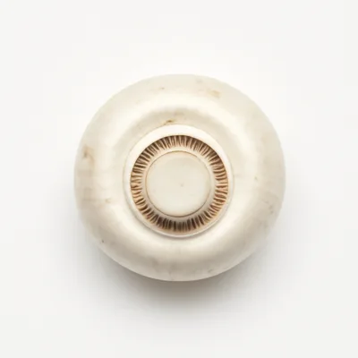 Illustration of mushroom, white, exposed to ultraviolet light, raw