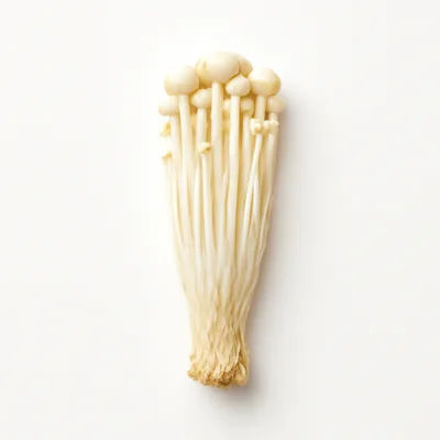 Illustration of mushrooms, enoki, raw
