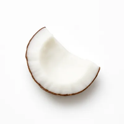 Illustration of nuts, coconut meat, raw
