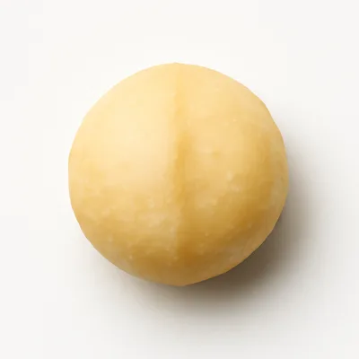Illustration of nuts, macadamia nuts, raw