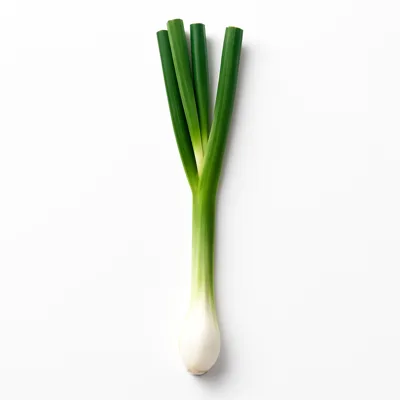 Illustration of onions, spring or scallions (includes tops and bulb), raw