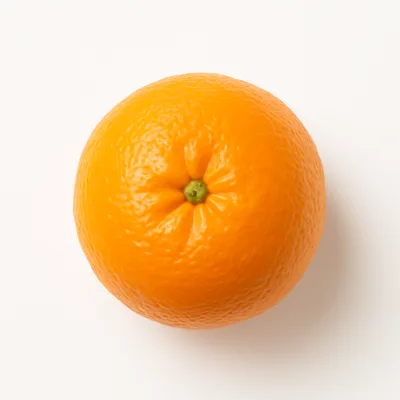 Illustration of oranges, raw, California, valencias