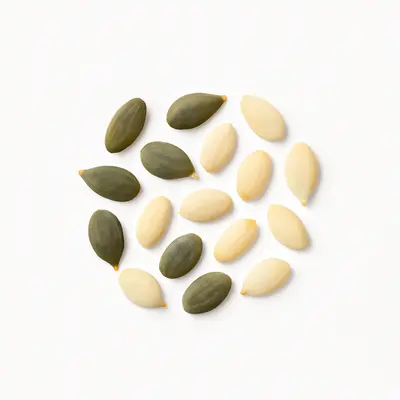 Illustration of pumpkin seeds, hulled